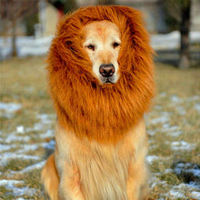 Load image into Gallery viewer, Lion&#39;s Mane Pet Costume
