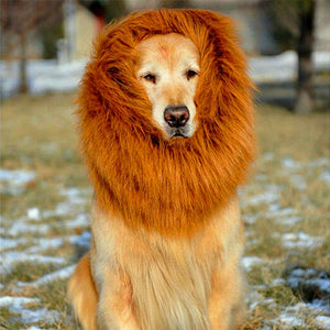 Lion's Mane Pet Costume
