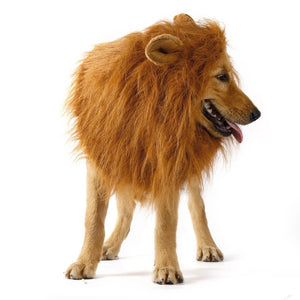 Large Lion Mane Pet Costume